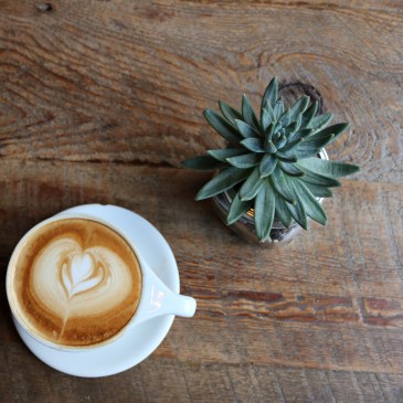 coffee and succulent